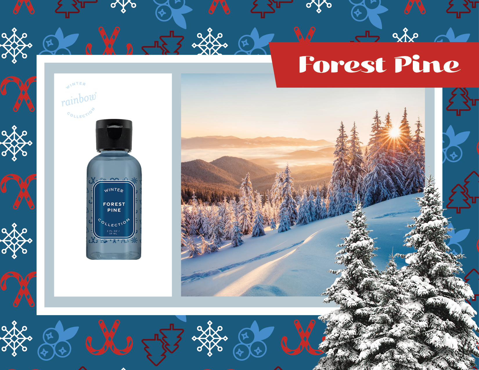 Pack Fragancias Colección Invierno - Imagen 3